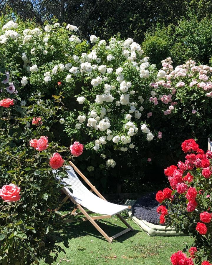 Bed and Breakfast Lulu en Provence à LʼIsle-sur-la-Sorgue Extérieur photo